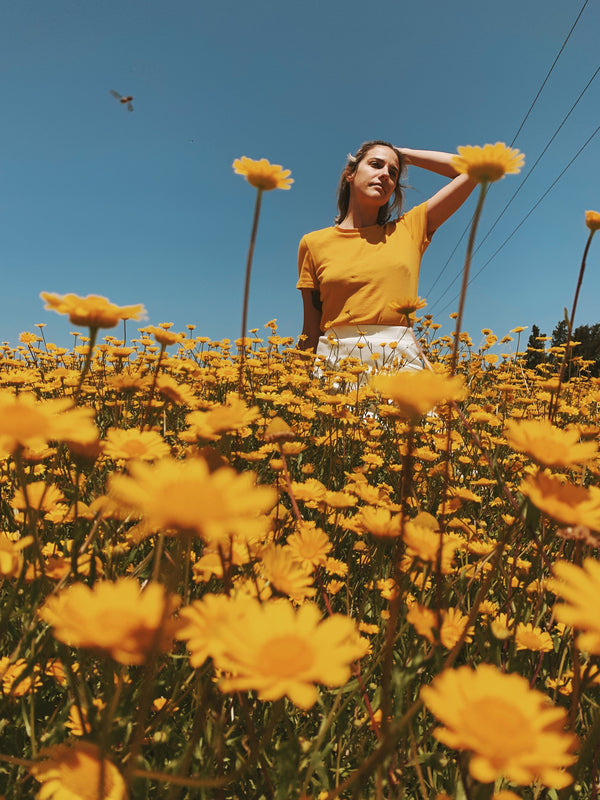 FLORES EN EL CAMPO